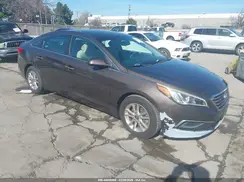 5NPE24AF2GH346221 2016 HYUNDAI SONATA