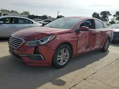 5NPE24AF2GH347532 2016 HYUNDAI SONATA
