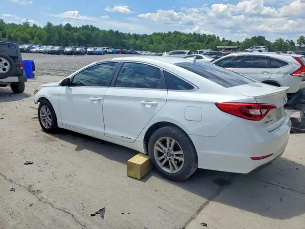 5NPE24AF2GH355646 2016 HYUNDAI SONATA - Image 2