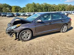 5NPE24AF2GH356442 2016 HYUNDAI SONATA