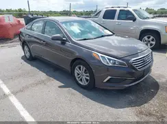 5NPE24AF2GH375427 2016 HYUNDAI SONATA