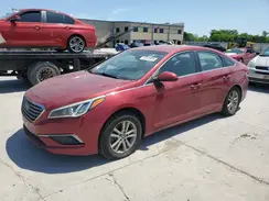 5NPE24AF2GH375508 2016 HYUNDAI SONATA