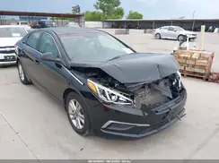 5NPE24AF2GH381356 2016 HYUNDAI SONATA