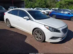 5NPE24AF2GH392339 2016 HYUNDAI SONATA