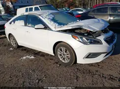 5NPE24AF2GH395242 2016 HYUNDAI SONATA