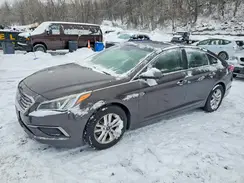 5NPE24AF2GH397251 2016 HYUNDAI SONATA