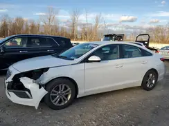 5NPE24AF2GH399873 2016 HYUNDAI SONATA