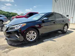 5NPE24AF2GH417109 2016 HYUNDAI SONATA