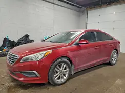 5NPE24AF2GH435464 2016 HYUNDAI SONATA