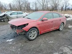 5NPE24AF2HH441394 2017 HYUNDAI SONATA
