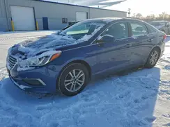 5NPE24AF2HH443727 2017 HYUNDAI SONATA