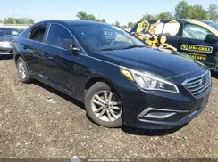 5NPE24AF2HH487775 2017 HYUNDAI SONATA