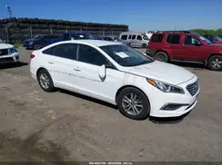 5NPE24AF2HH493494 2017 HYUNDAI SONATA