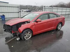 5NPE24AF2HH496637 2017 HYUNDAI SONATA