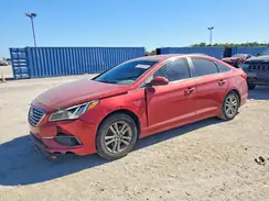 5NPE24AF2HH503022 2017 HYUNDAI SONATA