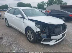 5NPE24AF2HH503294 2017 HYUNDAI SONATA