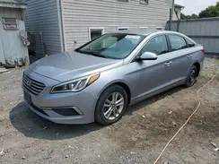 5NPE24AF2HH507314 2017 HYUNDAI SONATA