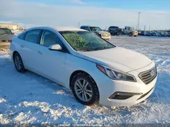 5NPE24AF2HH508821 2017 HYUNDAI SONATA