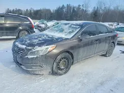 5NPE24AF2HH513341 2017 HYUNDAI SONATA