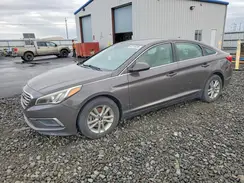 5NPE24AF2HH515185 2017 HYUNDAI SONATA