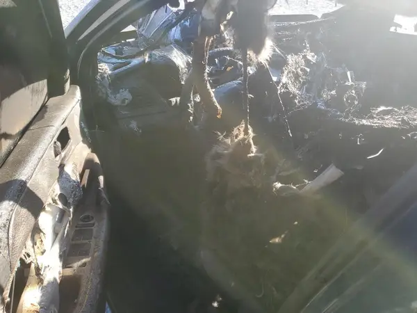 5NPE24AF2HH520158 2017 HYUNDAI SONATA - Image 8