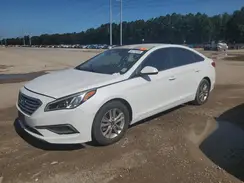 5NPE24AF2HH543133 2017 HYUNDAI SONATA