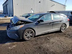 5NPE24AF2HH564578 2017 HYUNDAI SONATA