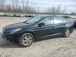 5NPE24AF2HH593157 2017 HYUNDAI SONATA
