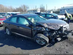 5NPE24AF2HH594972 2017 HYUNDAI SONATA