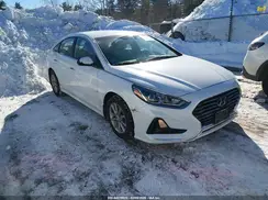 5NPE24AF2KH729469 2019 HYUNDAI SONATA