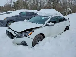 5NPE24AF2KH729844 2019 HYUNDAI SONATA