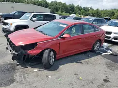 5NPE24AF2KH731657 2019 HYUNDAI SONATA