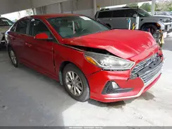 5NPE24AF2KH736292 2019 HYUNDAI SONATA