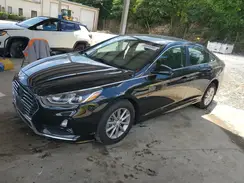 5NPE24AF2KH736566 2019 HYUNDAI SONATA