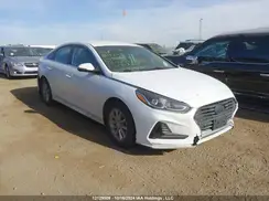 5NPE24AF2KH736809 2019 HYUNDAI SONATA