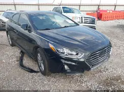 5NPE24AF2KH738317 2019 HYUNDAI SONATA