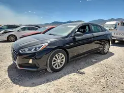 5NPE24AF2KH740231 2019 HYUNDAI SONATA