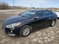 5NPE24AF2KH741492 2019 HYUNDAI SONATA