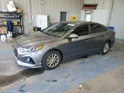 5NPE24AF2KH746353 2019 HYUNDAI SONATA