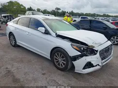5NPE24AF2KH749690 2019 HYUNDAI SONATA