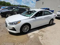 5NPE24AF2KH751360 2019 HYUNDAI SONATA