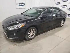 5NPE24AF2KH760317 2019 HYUNDAI SONATA