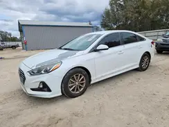 5NPE24AF2KH760706 2019 HYUNDAI SONATA