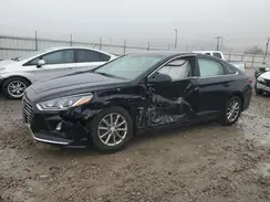 5NPE24AF2KH762083 2019 HYUNDAI SONATA