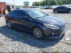 5NPE24AF2KH764495 2019 HYUNDAI SONATA