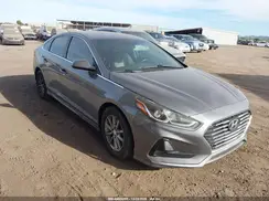 5NPE24AF2KH770216 2019 HYUNDAI SONATA