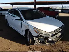 5NPE24AF2KH787100 2019 HYUNDAI SONATA