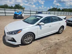 5NPE24AF2KH788621 2019 HYUNDAI SONATA