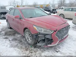 5NPE24AF2KH789591 2019 HYUNDAI SONATA