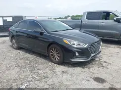 5NPE24AF2KH791311 2019 HYUNDAI SONATA